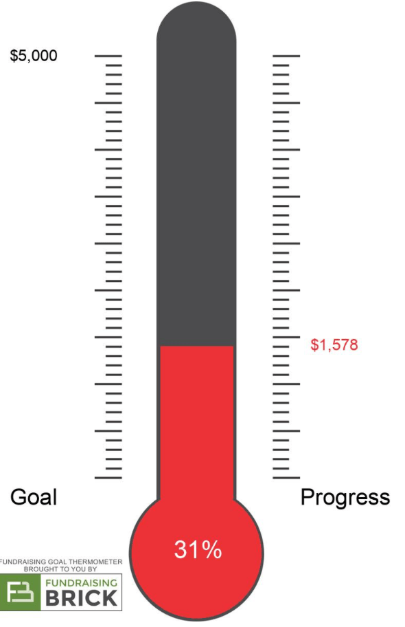 Funraising Visual-31%